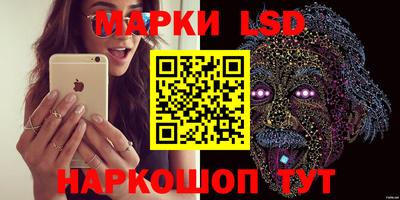 спиды Моздок