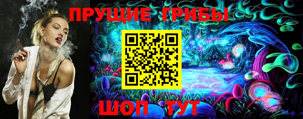 Псилоцибиновые грибы Psilocybe Чебоксары